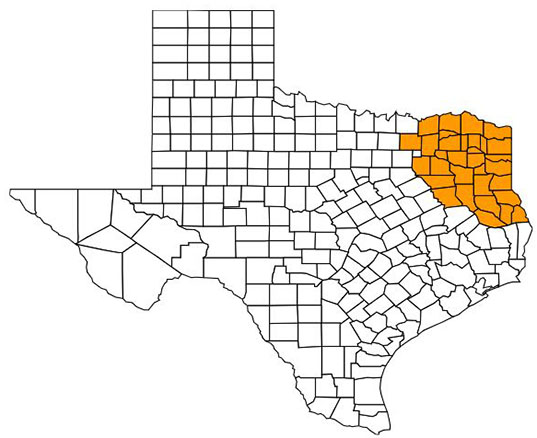 UT Tyler Colorectal Cancer Screening counties