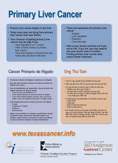 Primary Liver Cancer/Cáncer Primario de Hígado/Ung Thu’ Gan