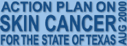 Action Plan logo