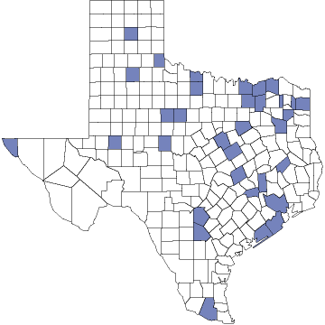 TX Map - health care availability as an issue depsite income