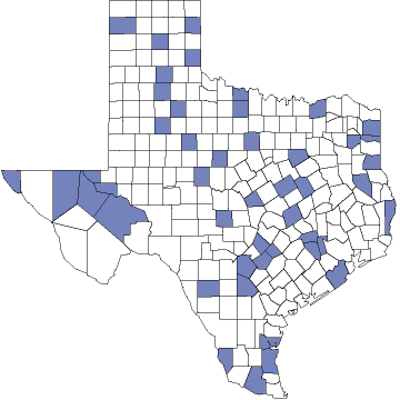 TX Map - health care availability as an issue for all people